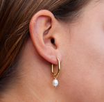 FV Fresh Water Pearl & Yellow Gold Earrings - HOPYP-EOB
