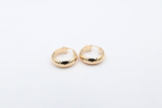 9ct Gold Concave Wide  Earrings 200BC142/99