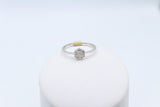 9ct WHITE Gold Diamond Cluster ring TDW 0.25ct SYR7969W