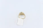 9ct Mens Ring with Black Onyx  & silver Horsehead