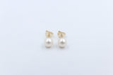 9ct Gold Fresh water Pearl Earrings