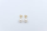 9ct Gold Fresh water Pearl Earrings