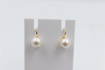 9ct Gold Fresh water Pearl Stiletto Earrings