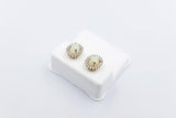 10K Gold Setting with Australian Full  Opal Earrings