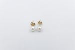 9ct Gold Fresh water Pearl Earrings