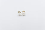 9ct Gold Fresh water Pearl Earrings