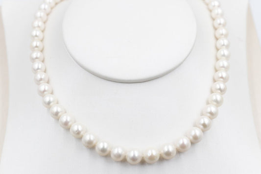 Fresh water Pearl Necklet with stg Clasps 8 to 8.5mm 382.2775AAX