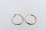 9ct Gold three tone Hoops 00OBS519901