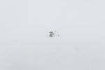 9ct White Gold Lab Grown Diamond Nose Stud 0.18ct