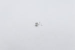 9ct White Gold Lab Grown Diamond Nose Stud 0.18ct