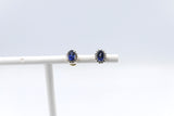 14ct Gold Sapphire and Diamond Studs SKE33612