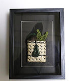 Framed New Zealand Greenstone Fish Hook with Feathers & Kete