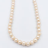Fresh water Pearl Necklet with stg Clasps 8 to 8.5mm 512.131AAX