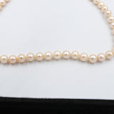 Fresh water Pearl Necklet with stg Clasps 8 to 8.5mm 512.131AAX