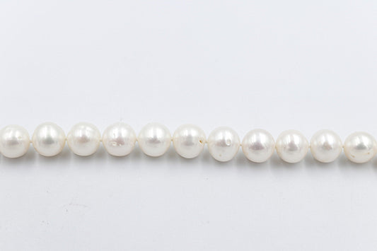 Fresh water Pearl Bracelet with stg Clasps 8.5 to 9mm 514-120AAX