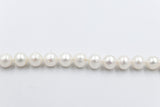 Fresh water Pearl Bracelet with stg Clasps 8.5 to 9mm 514-120AAX