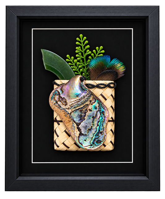 Framed New Zealand Paua Shell with Feathers & Kete