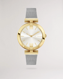 Ted Baker Silver/Gold Darbiey Watch - BKPDAF208