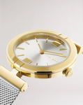 Ted Baker Silver/Gold Darbiey Watch - BKPDAF208