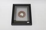Framed Bone and Wood Carvings