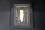 Framed Bone with feathers