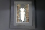 Framed Bone with feathers