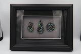 Framed Pāua Pieces