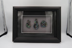 Framed Pāua Pieces