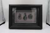 Framed Pāua Pieces