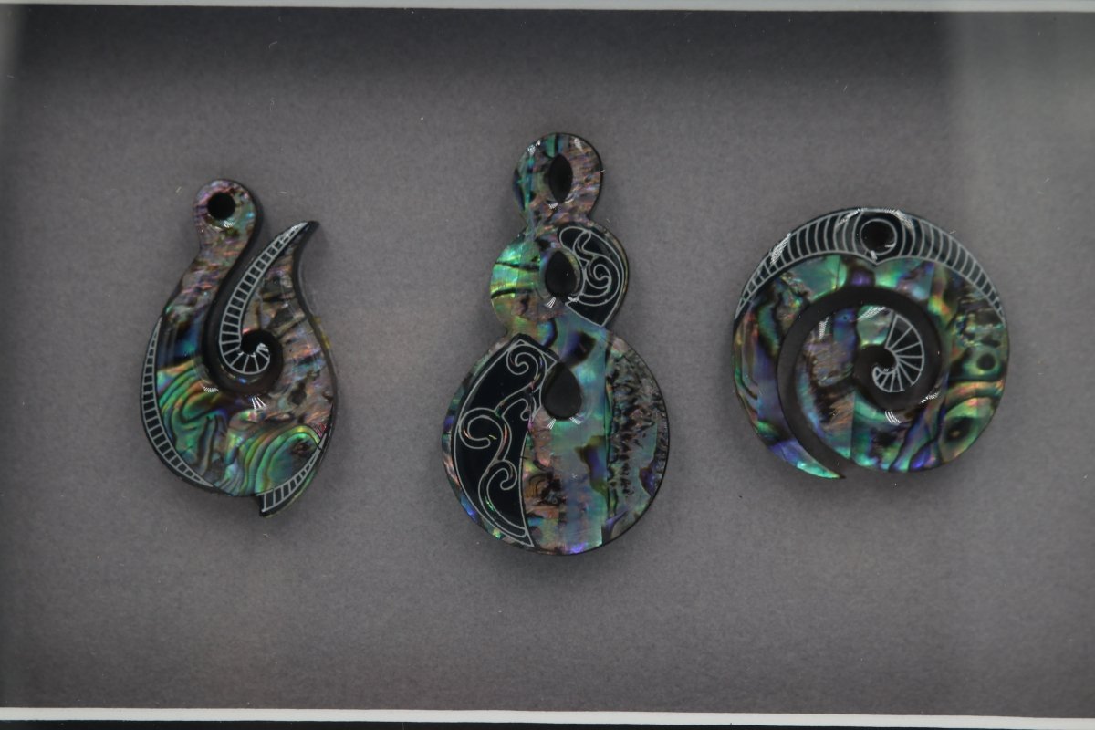 Framed Pāua Pieces
