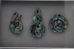 Framed Pāua Pieces