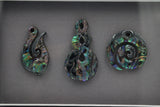 Framed Pāua Pieces