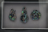 Framed Pāua Pieces