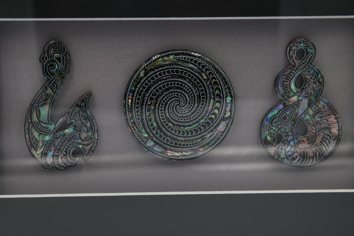 Framed Paua Pieces