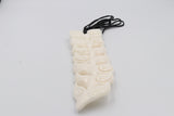 XL Bone Whail Tail Family