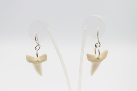 Whalebone Shark tooth Earrings