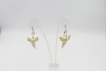 Whalebone Shark tooth Earrings