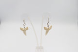 Whalebone Shark tooth Earrings