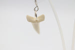 Whalebone Shark tooth Earrings
