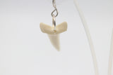 Whalebone Shark tooth Earrings