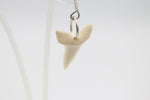 Whalebone Shark tooth Earrings