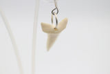 Whalebone Shark tooth Earrings