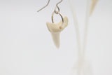 Whalebone Shark tooth Earrings