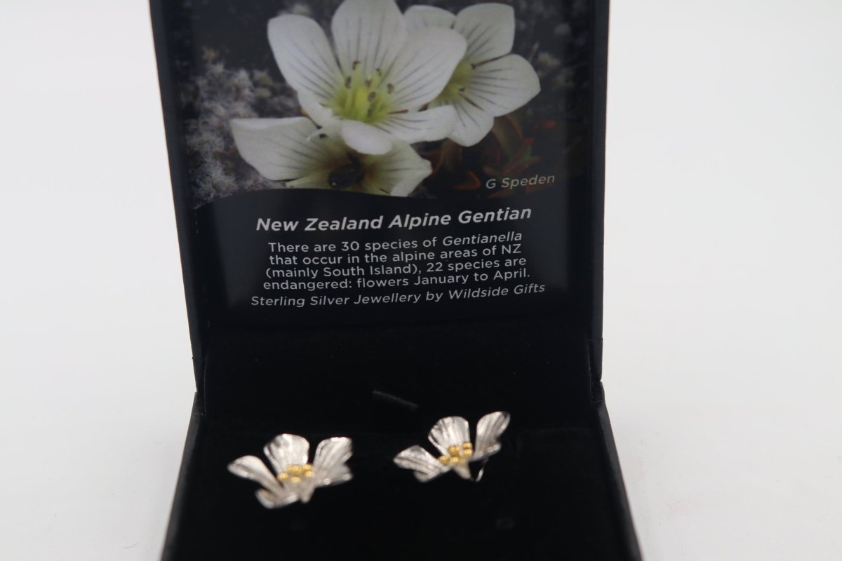 Stg Silver Earrings New zealand Alpine Gentian